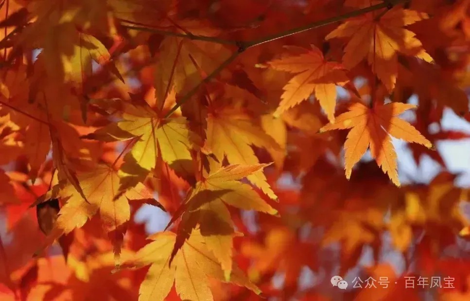 000000000000000000.jpg 000000000000000000.jpg