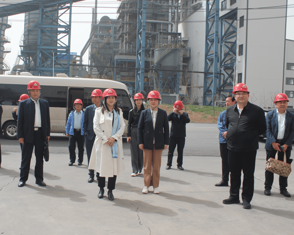 01_new.png 01_new.png